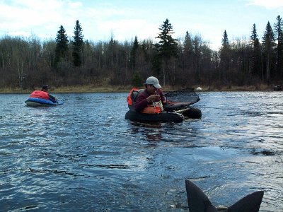Chinaman Lake May 2002